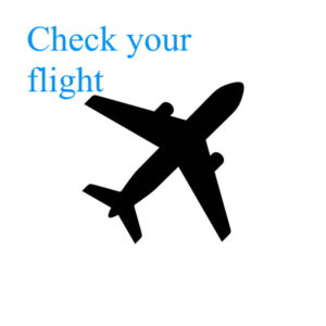 check-flight
